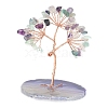 Natural Fluorite Chips Tree of Life Decorations PW-WGCF77D-07-1