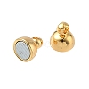 Oval Brass Magnetic Clasps KK-B160-36G-2