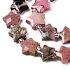 Natural Rhodonite Beads Strands G-T138-192-3