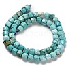 Dyed Natural Howlite Beads Strands G-H078-C28-01-3