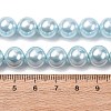 Electroplated Shell Pearl Beads Strands BSHE-G041-10mm-03-4