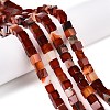 Natural Red Agate(Dyed & Heated) Beads Strands G-T139-6x6-35A-1