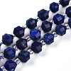 Natural Lapis Lazuli Beads Strands G-O201B-25-1-1