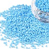 11/0 Grade A Round Glass Seed Beads SEED-N001-A-1019-1