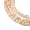 Natural Freshwater Shell Beads Strands SHEL-P017-01B-10-3