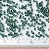 MIYUKI Delica Beads SEED-MY11-DB0276-4