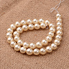 Polished Round Grade A Shell Pearl Bead Strands X-BSHE-M027-6mm-24-2