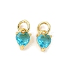 Brass Micro Pave Cubic Zirconia Charms KK-P192-08-G11-1
