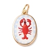 Printed Brass Enamel Pendants KK-CBADFD5-04G-B-1