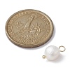 Natural Pearl Potato Charms X1-PALLOY-JF02199-03-3