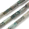 Natural African Turquoise(Jasper) Beads Strands X-G-G837-02-1