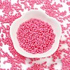 Baking Paint Glass Seed Beads SEED-A033-05L-2
