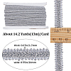 13M Metallic Yarn Ribbons OCOR-WH0058-59B-2