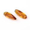 Czech Glass Charms X-GLAA-G077-01-2