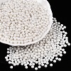 Glass Seed Beads SEED-T007-01B-4