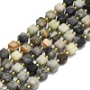 Natural Picasso Jasper Beads Strands G-I376-D64-01-1