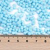 Baking Paint Glass Seed Beads X1-SEED-K010-A20-4