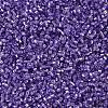 MIYUKI Delica Beads SEED-X0054-DB1347-4