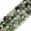 Natural Prehnite Beads Strands G-G457-10mm-03-1