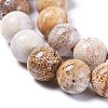 Natural Fossil Coral Beads Strands X-G-D135-8mm-01-3