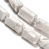 Natural Howlite Beads Strands G-K245-I22-01-4