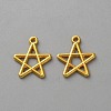 Zinc Alloy Pendants LS-FIND-WH0139-508G-1