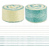 Segment Dyed Knitting Yarn DIY-TAC0033-03D-1