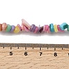 Natural Freshwater Shell Beads SHEL-B003-01I-4