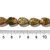 Natural Unakite Beads Strands G-I377-A27-5