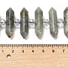 Natural Labradorite Double Terminated Point Beads Strands G-H069-B04-01-5