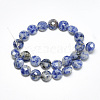 Natural Blue Spot Jasper Beads Strands G-S357-F06-2