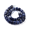 Natural Sodalite Beads Strands G-G801-01-2