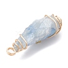 Electroplated Natural Quartz Crystal Dyed Copper Wire Wrapped Pendants PALLOY-JF02326-04-4