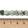 Natural Green Spot Jasper  Beads Strands G-M403-A22-03-5