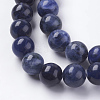 Natural Sodalite Beads Strands G-G448-10mm-25-3