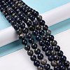 Natural Sodalite Beads Strands G-D481-12C-2