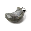 Natural Labradorite Pendants G-F820-02C-2