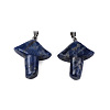 Natural Sodalite Pendants G-R480-02I-2