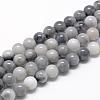 Natural Hawk's Eye Beads Strands G-R446-10mm-17-1