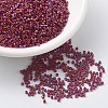 MIYUKI Delica Beads SEED-MY11-DB2275-1