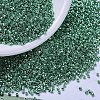 MIYUKI Delica Beads SEED-X0054-DB0426-1