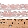 Natural Rose Quartz(Dyed & Heated) Beads Strands G-P497-01E-79A-5