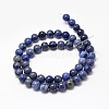 Natural Grade AA Dumortierite Quartz Round Bead Strands G-P075-43-4mm-3