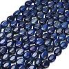 Dyed Natural Lapis Lazuli Beads Strands G-P610-A01-01-2