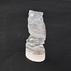 Natural Selenite Figurines DJEW-Q006-01G-2