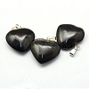 Heart Natural Black Stone Pendants X-G-Q438-18-2