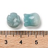 Natural Lily of The Valley Amazonite Beads G-G109-01L-3