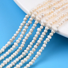 Natural Cultured Freshwater Pearl Beads Strands PEAR-N013-02G