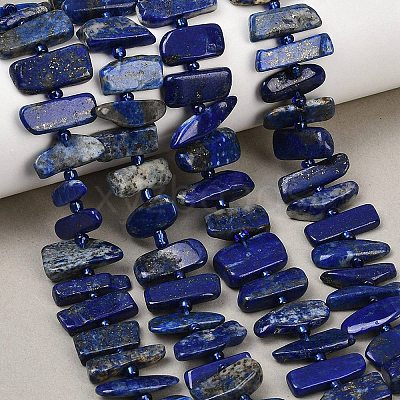 Natural Lapis Lazuli Beads Strands G-K393-B05-1