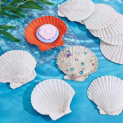60Pcs Natural Shell Jewelry Decorative Plate AJEW-GA0009-64B-1